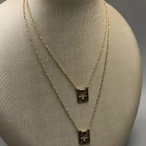 Escapulário Ban. a Ouro Espiríto Santo