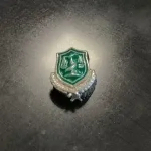 Berloque escudo direito 